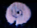 http://divinecosmos.com/images/stories/sts75spiral2.jpg