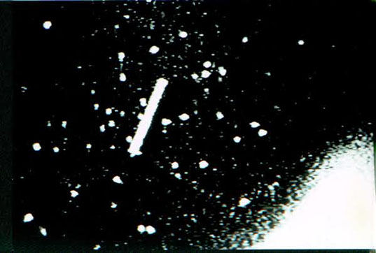 http://divinecosmos.com/images/stories/crowdufostether.jpg